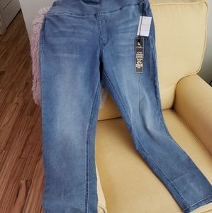 DG2 Suddenly Slim Jeggings